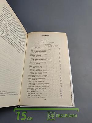 Квартеронка. Морской волчонок