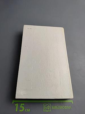 Квартеронка. Морской волчонок