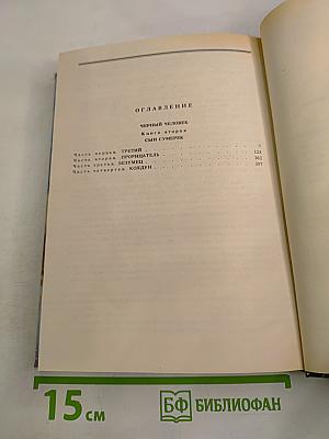 Черный человек. Книга вторая. Том 3