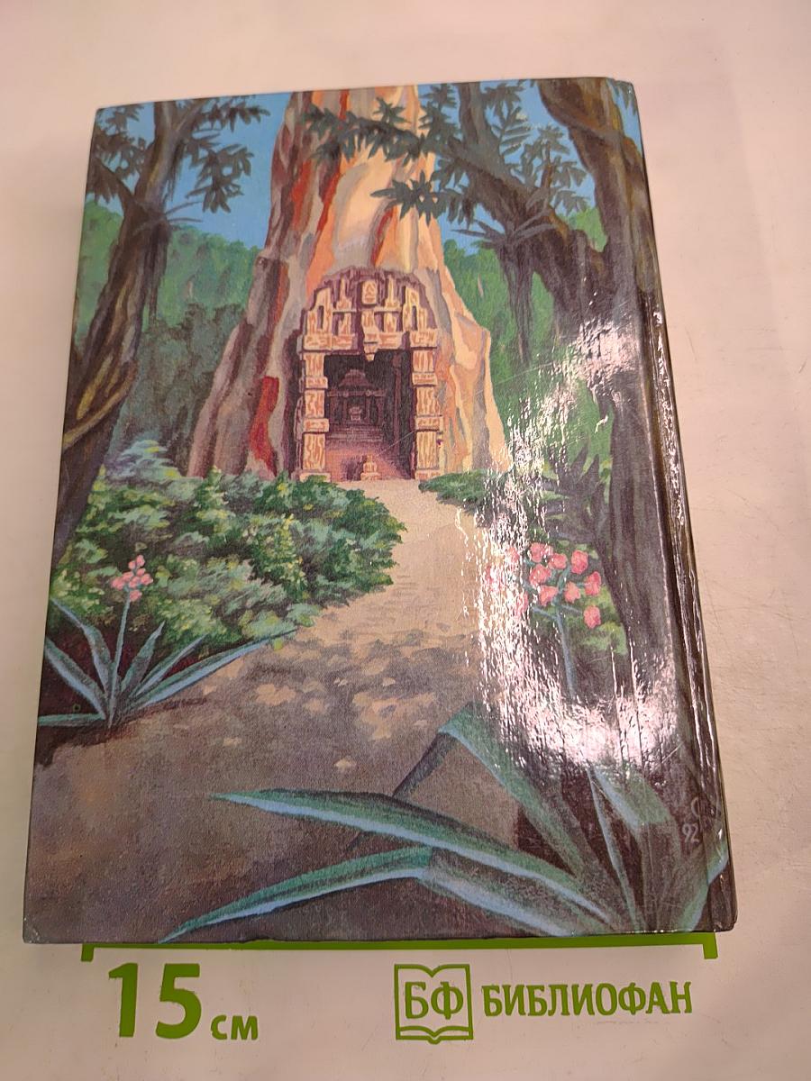 Черный человек. Книга вторая. Том 3