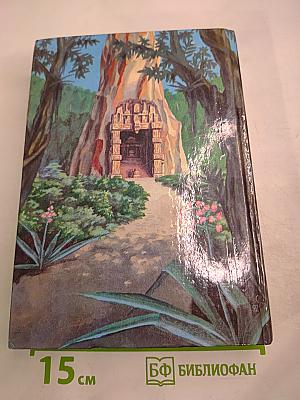 Черный человек. Книга вторая. Том 3