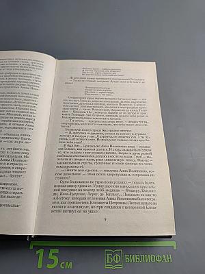 Слово и дело. Книга вторая: Мои любезные конфиденты