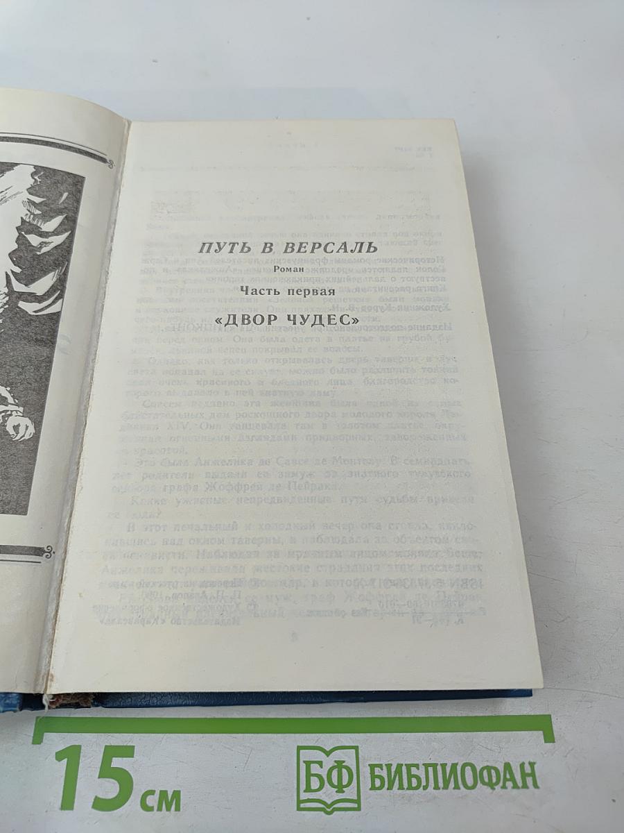 Путь в Версаль. Анжелика и Король