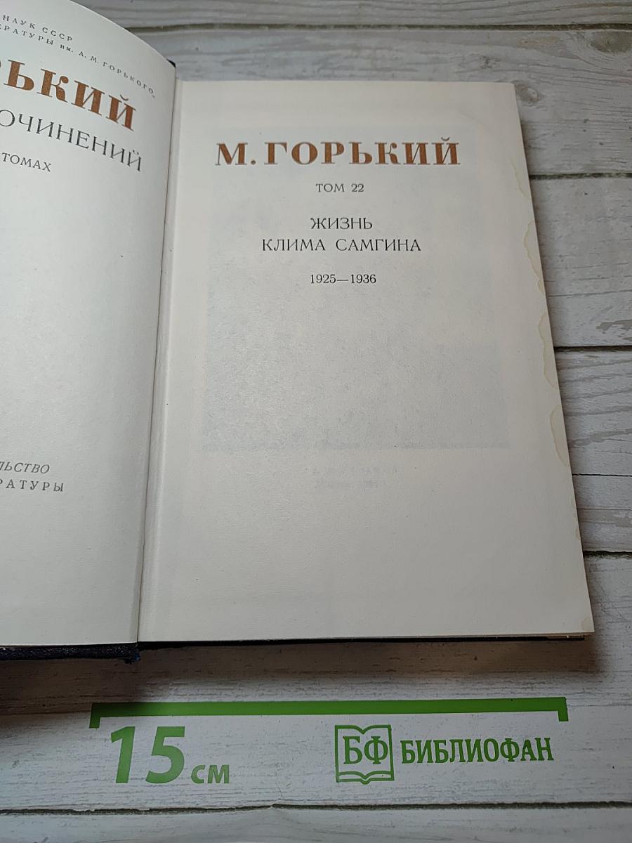 Жизнь Клима Самгина