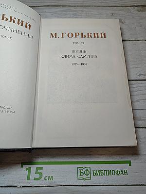 Жизнь Клима Самгина