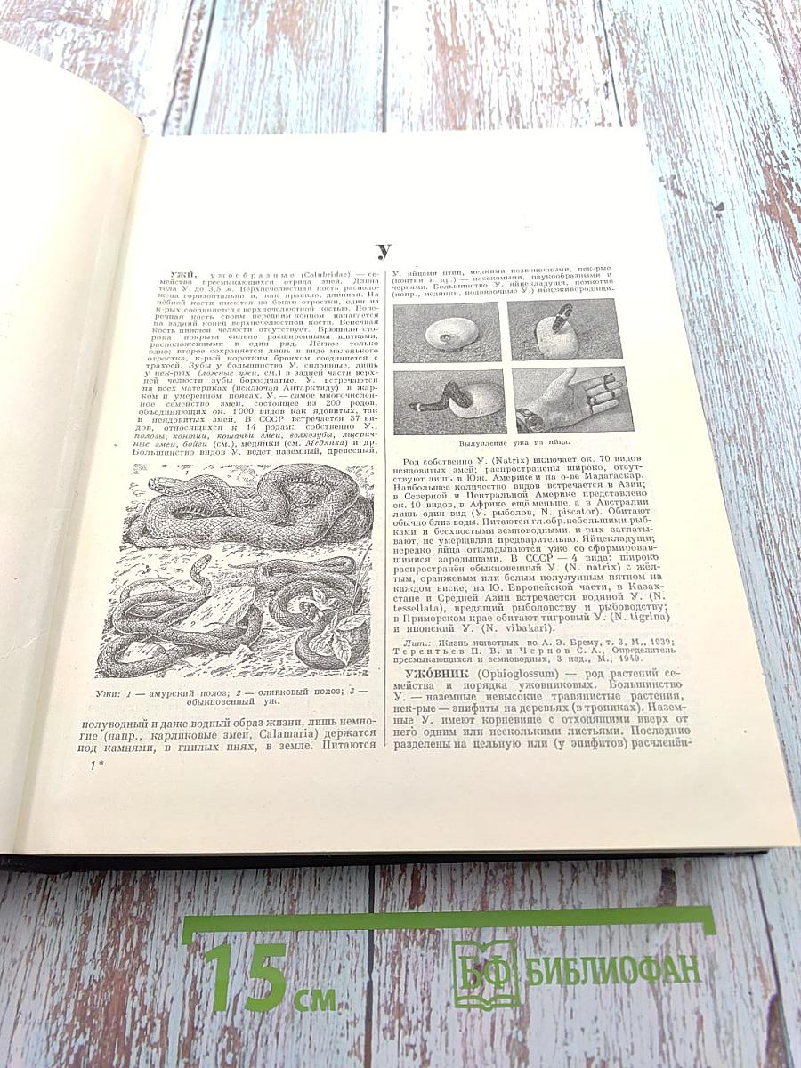 Большая Советская Энциклопедия. Том 44: Ужи - Фидель
