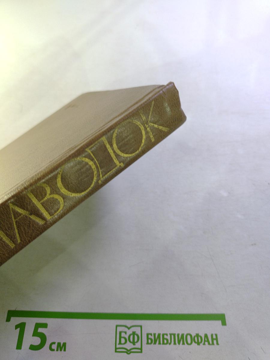 Паводок. Повести и рассказы