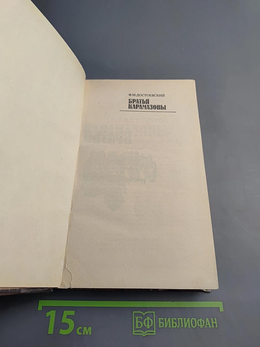 Братья Карамазовы. Часть первая. Часть вторая. Том 1