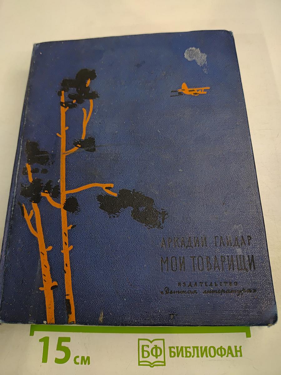 Мои товарищи