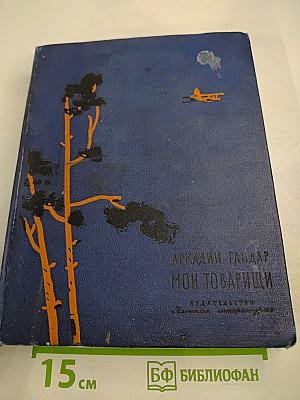 Мои товарищи