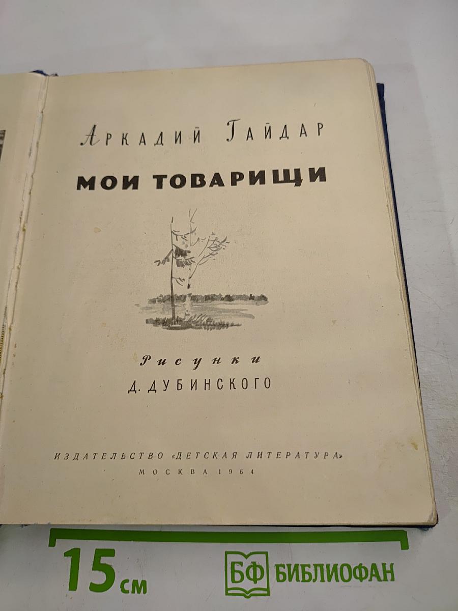 Мои товарищи