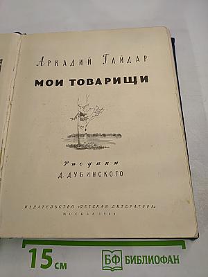 Мои товарищи