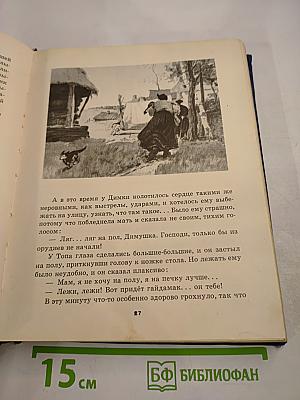 Мои товарищи