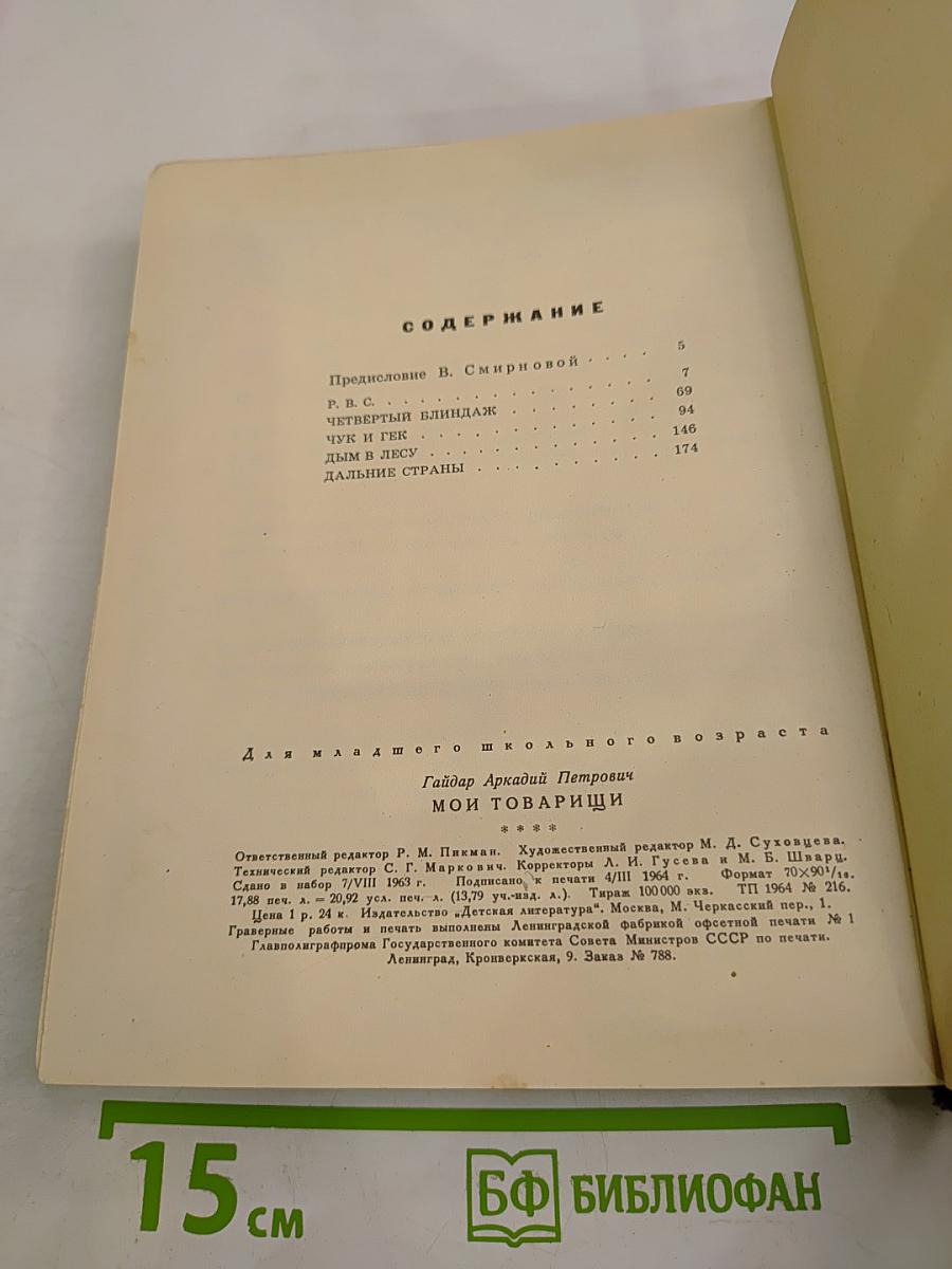 Мои товарищи