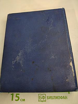 Мои товарищи