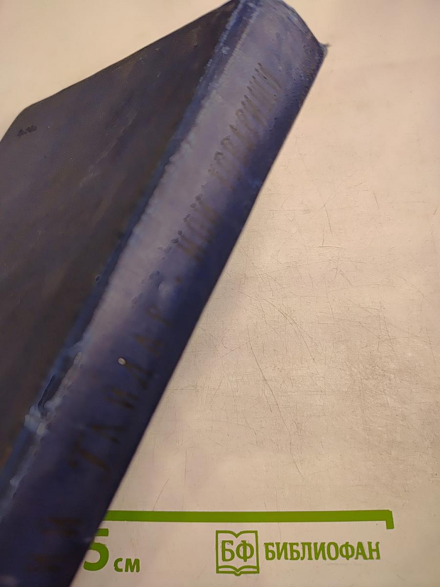 Мои товарищи