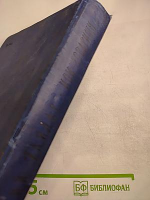 Мои товарищи