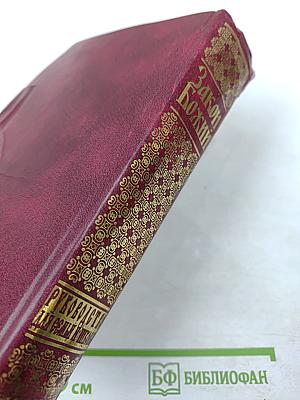 Закон Божий: Руководство для семьи и школы