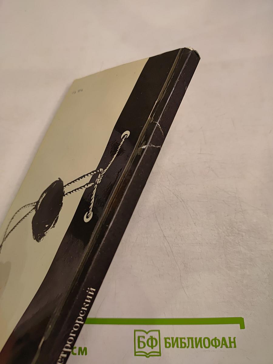 Осторожно: «Немецкая волна»