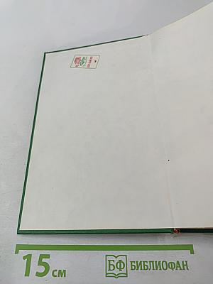 Большая интрига