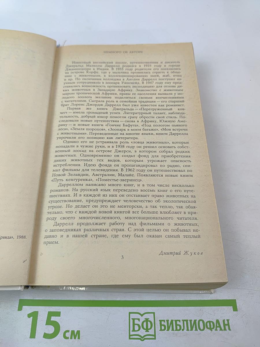 Под пологом пьяного леса