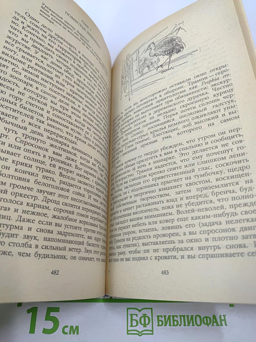 Под пологом пьяного леса