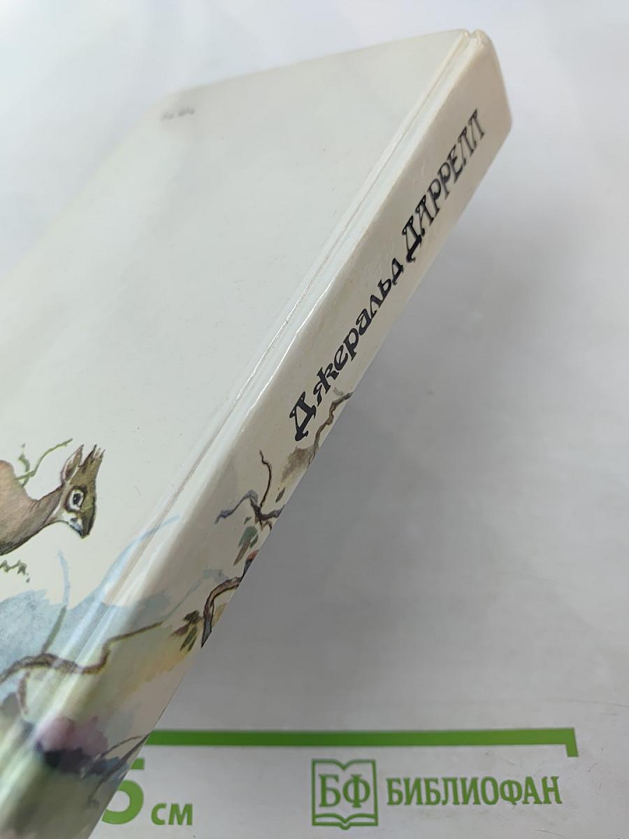 Под пологом пьяного леса