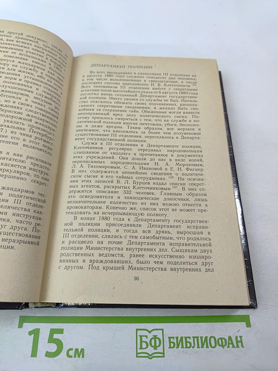 Полицейские и провокаторы