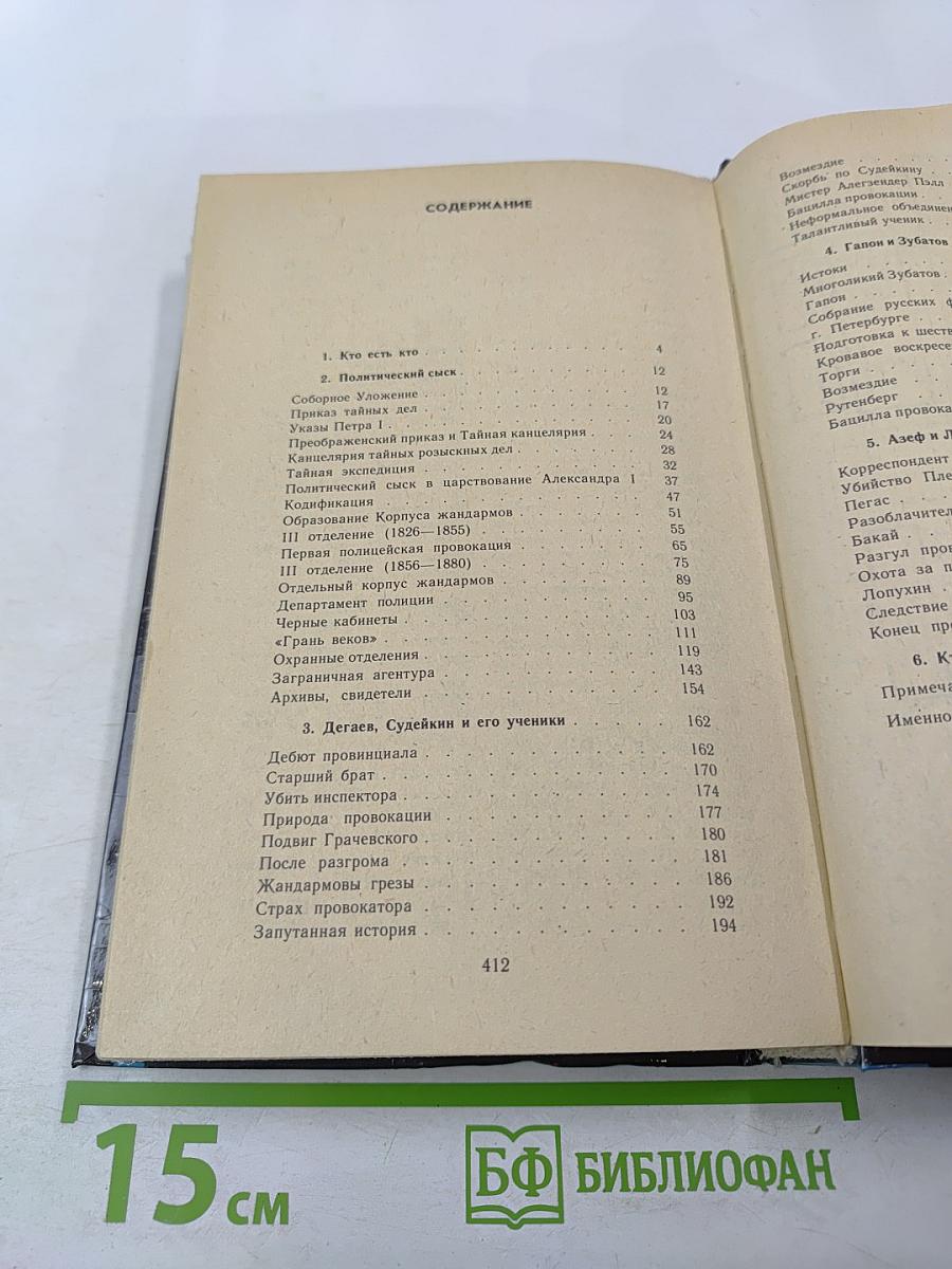 Полицейские и провокаторы