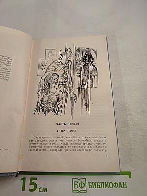 Портрет и вокруг