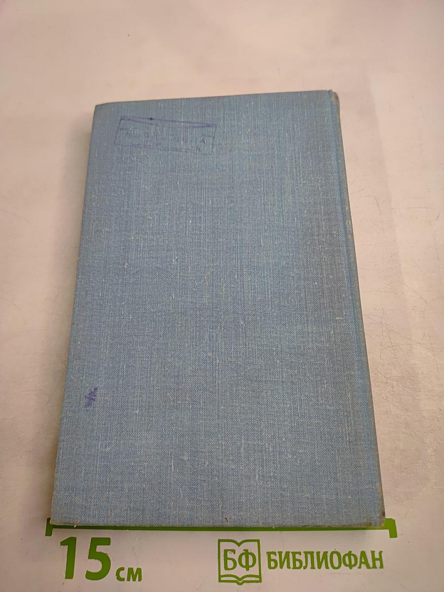 Портрет и вокруг