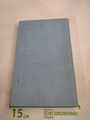 Портрет и вокруг