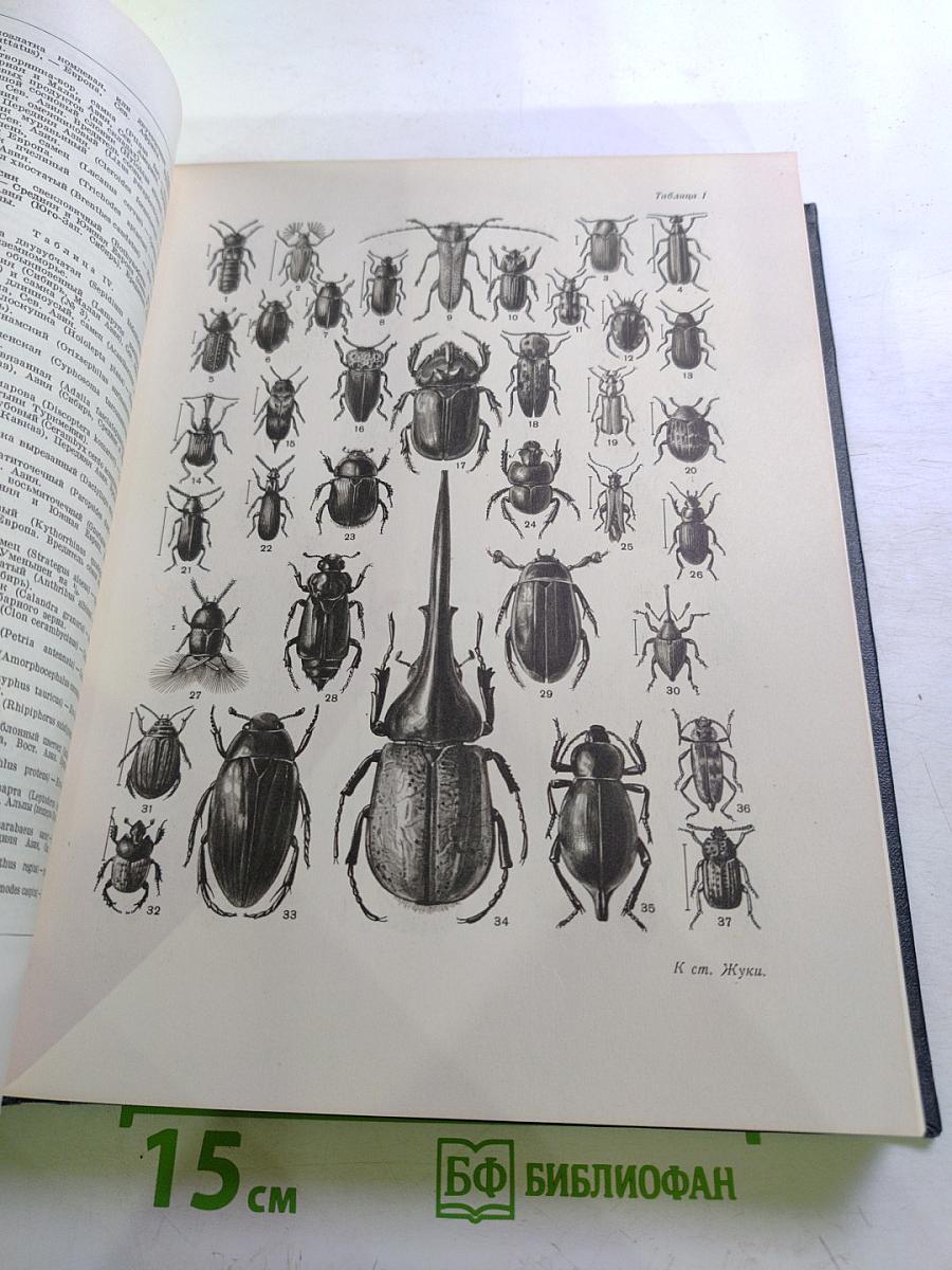 Большая Советская Энциклопедия. Том 16. Железо - Земли