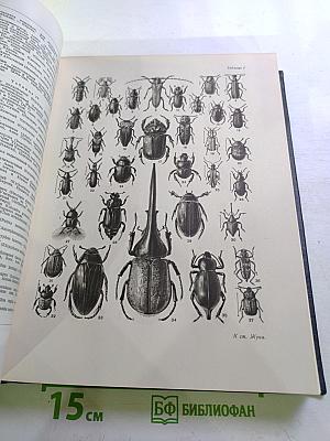 Большая Советская Энциклопедия. Том 16. Железо - Земли