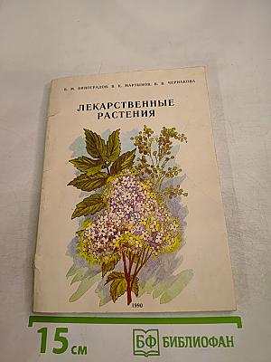 Лекарственные растения в лечении заболеваний дыхательных путей и носоглотки