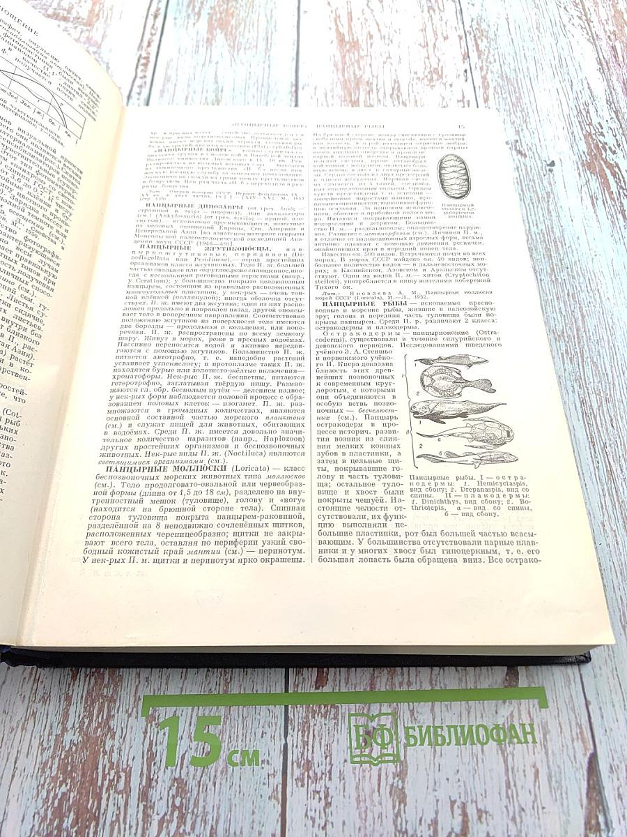 Большая Советская Энциклопедия. Том 32. Панипат - Печура