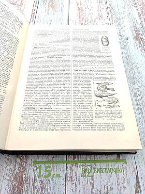 Большая Советская Энциклопедия. Том 32. Панипат - Печура