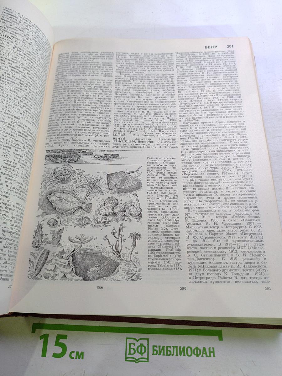Большая Советская Энциклопедия. Том 3: Бари – Браслет