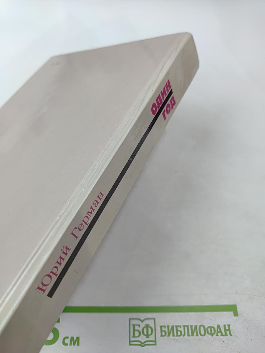 Один год