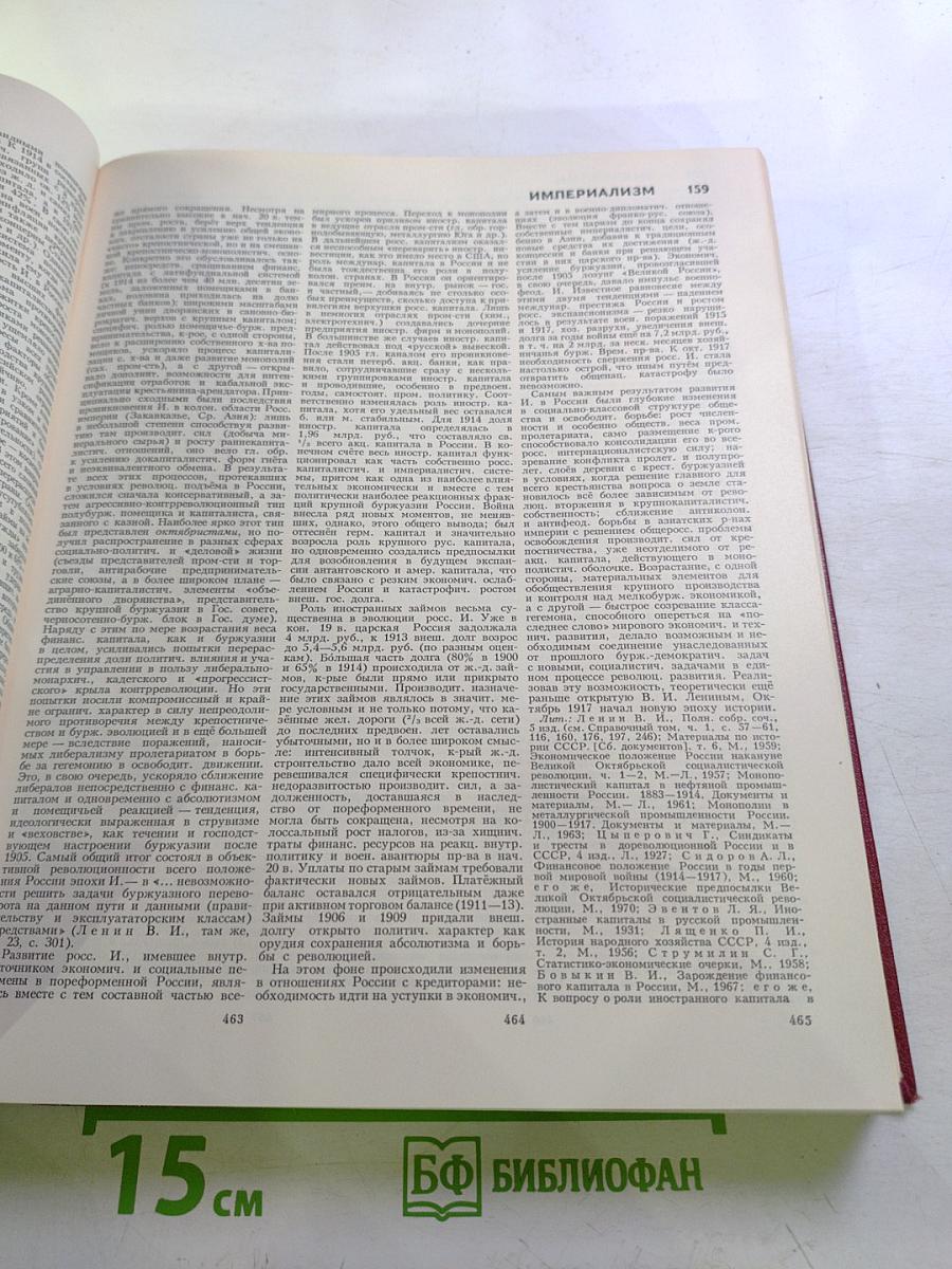 Большая Советская Энциклопедия. Том 10: Ива - Италики