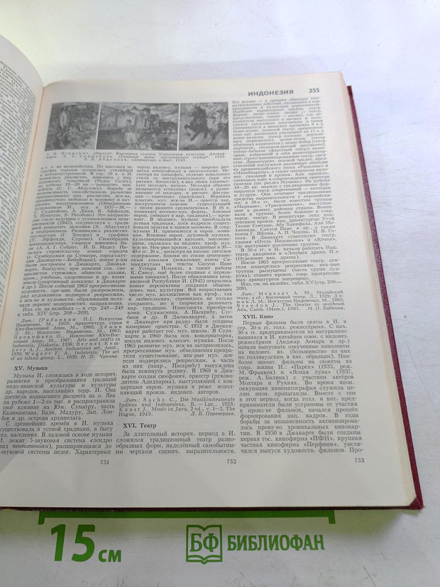 Большая Советская Энциклопедия. Том 10: Ива - Италики