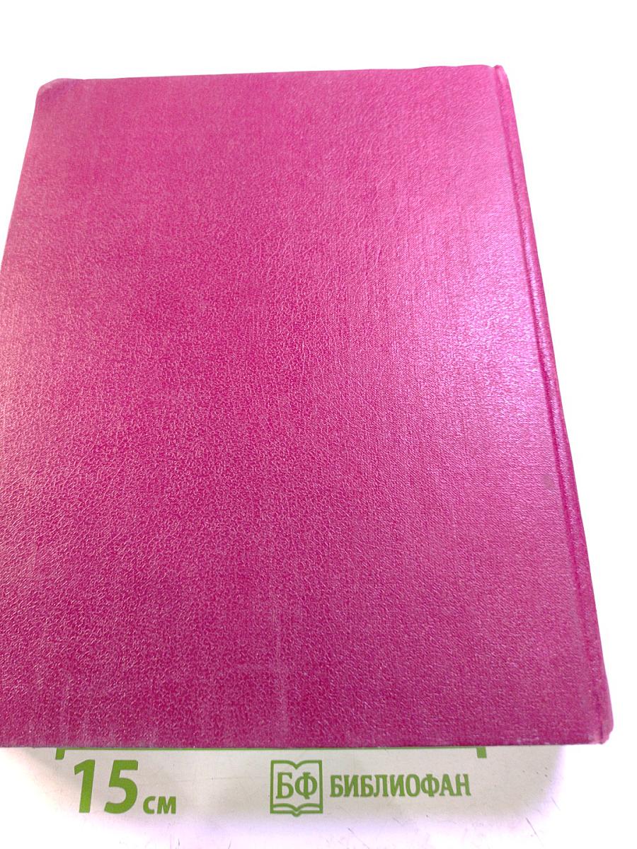 Большая Советская Энциклопедия. Том 10: Ива - Италики