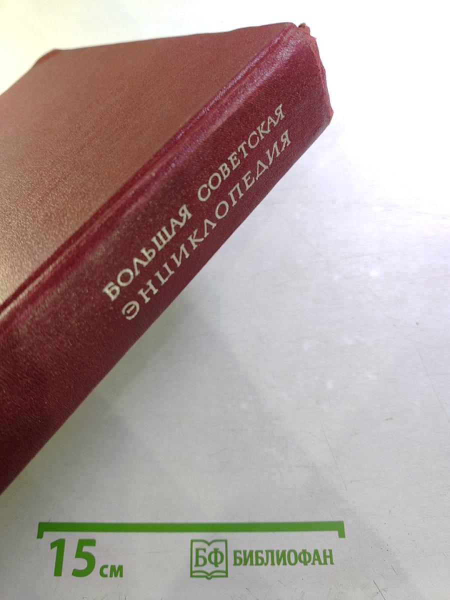 Большая Советская Энциклопедия. Том 10: Ива - Италики