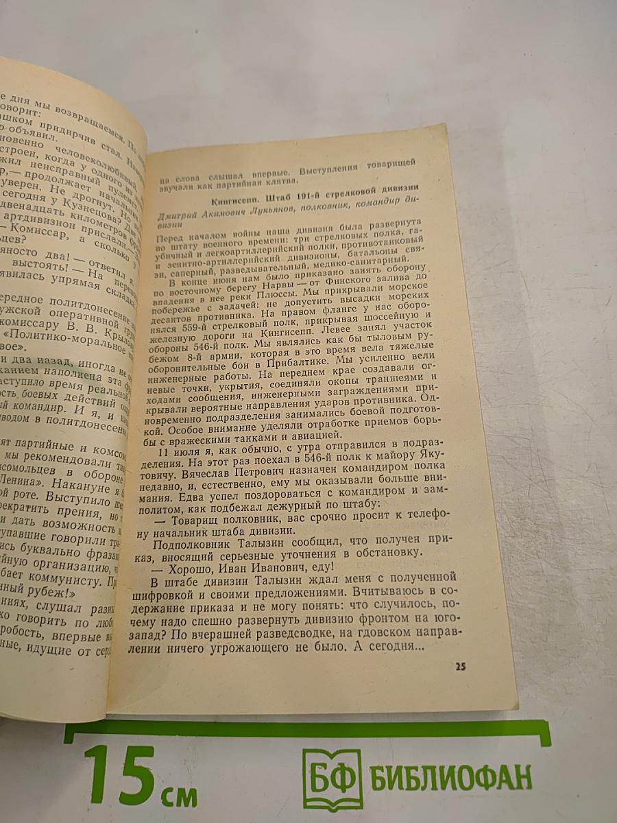 Лужский рубеж. Год 1941-й