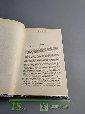 Мир Асты: Последний враг. Том второй