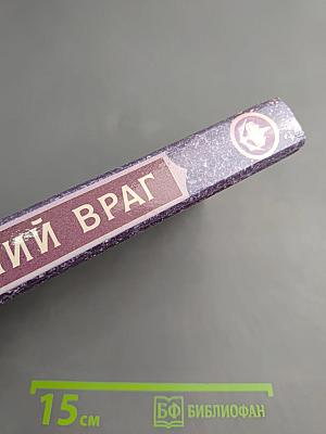 Мир Асты: Последний враг. Том второй