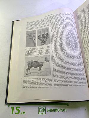 Большая Советская Энциклопедия. Том 6