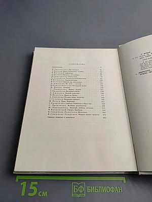 С веком наравне. Рассказы о картинах. Том 1