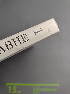 С веком наравне. Рассказы о картинах. Том 1