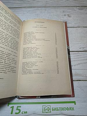 И один в поле воин. Книга первая